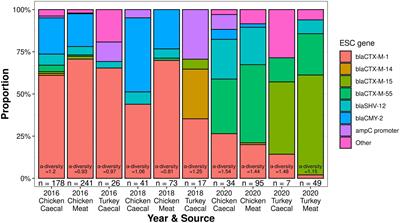 Genomic surveillance of extended-spectrum cephalosporin-resistant Escherichia coli isolated from poultry in the UK from 2016 to 2020